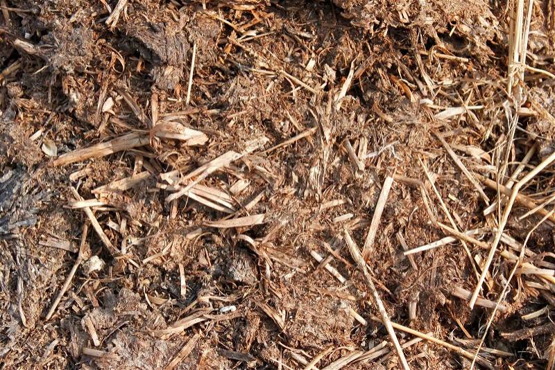Fragment of the compost heap. High-quality organic fertilizer, stock photo