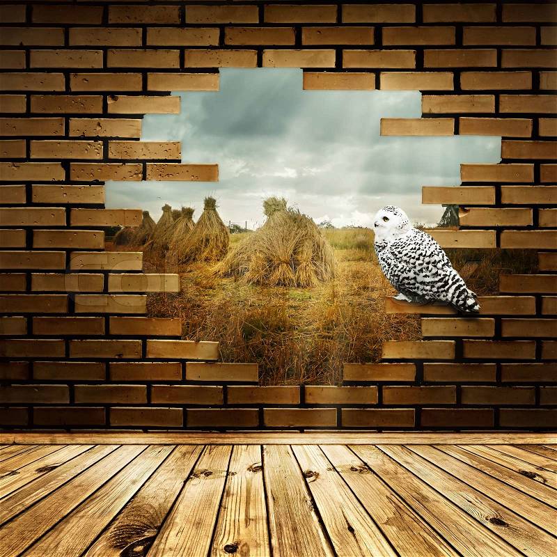 Village field in broken brick wall with white owl, stock photo
