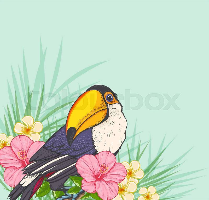 Summer tropical background with toucan and flowers. Green floral tropical background, vector