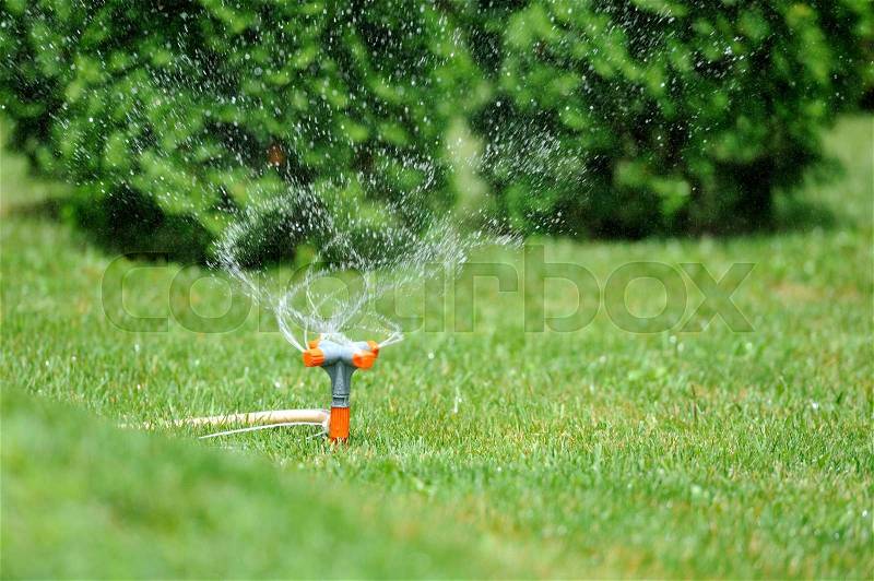 Garden sprinkler working on a green grass lawn, stock photo