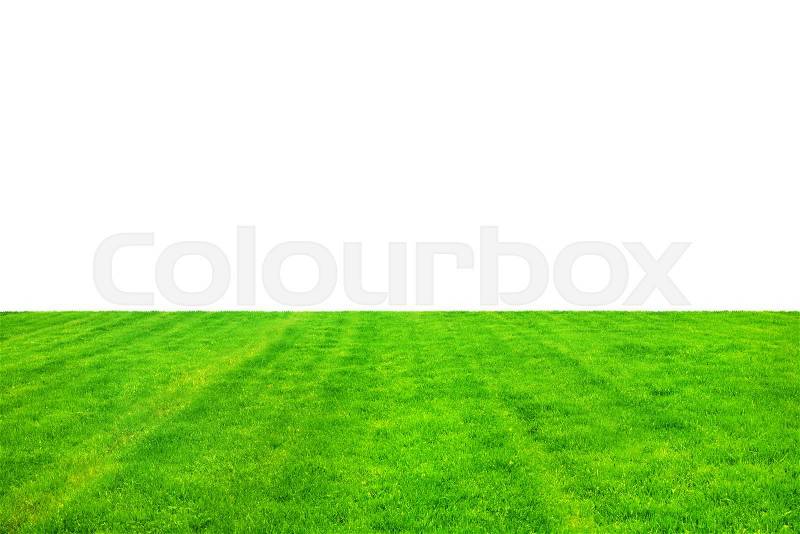 Green grass isolated on white background, stock photo
