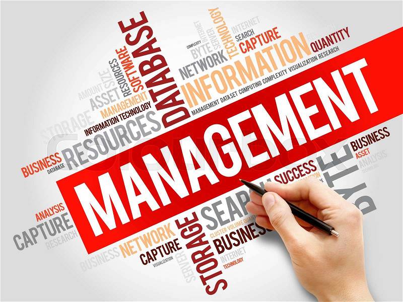 Management word cloud, business concept, stock photo