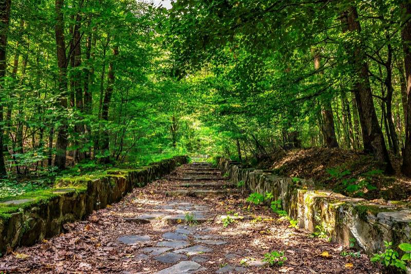 Path with steps made ​​of stone among the trees in a city park is covered with foliage , stock photo