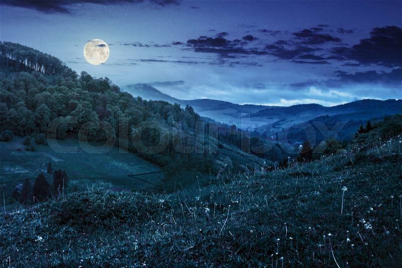 Meadow on a hillside near the forest in rural area in summer fog at night in full moon light, stock photo