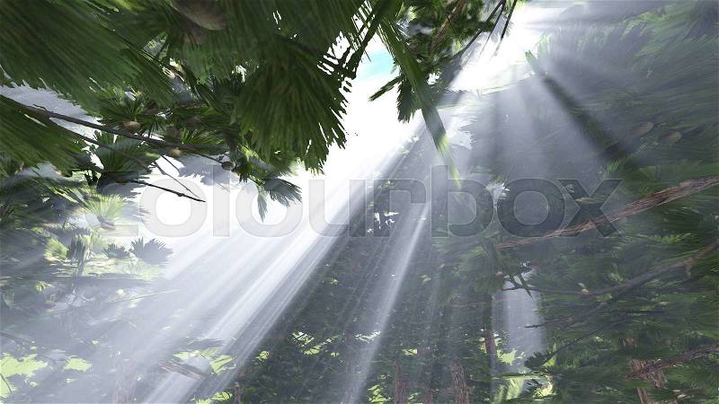 Evening pine forest with sun and volume light , stock photo
