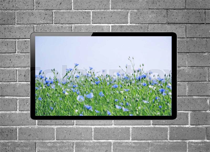 LCD tv with flower meadow on screen hanging on brick wall, stock photo