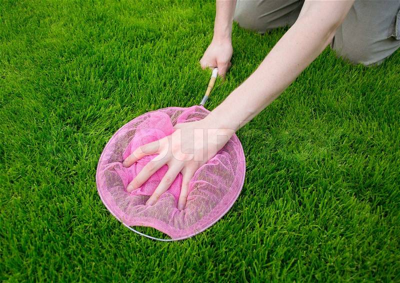 Hand with a butterfly net catching butterflies in the grass, stock photo