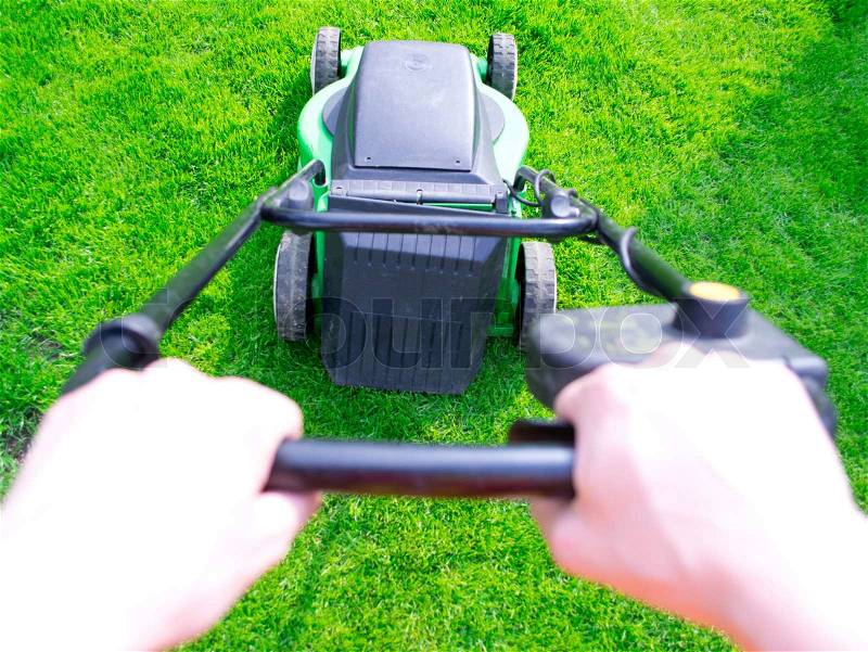Green grass is mowed lawn mower, stock photo