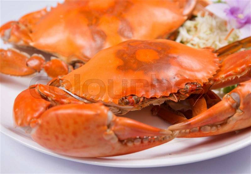 Fresh Big steam crab on the plate /selective focus, stock photo
