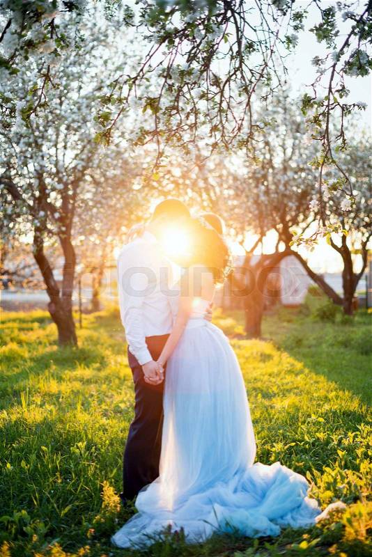 Young couple kissing at sunset in blooming spring garden. Love and romantic theme, stock photo