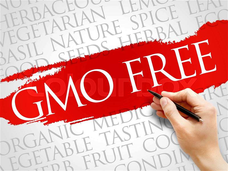 GMO FREE word cloud, health concept, stock photo
