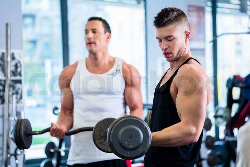 Friends lifting weights for sport in fitness gym motivating each other with a little competition , stock photo