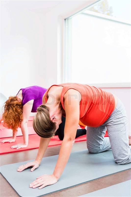 Two smiling pregnant women side by side in all-fours position exercising during prenatal class on yoga mat, stock photo