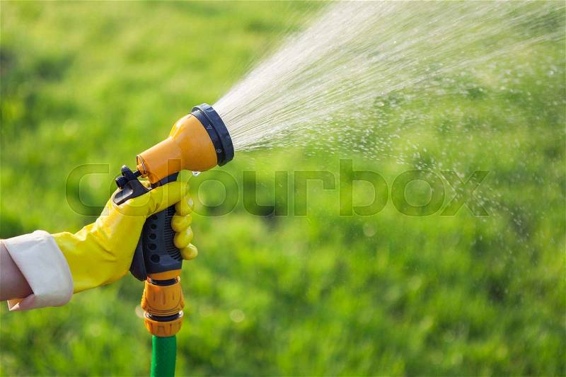 Hand with garden hose watering plants, gardening concept, stock photo