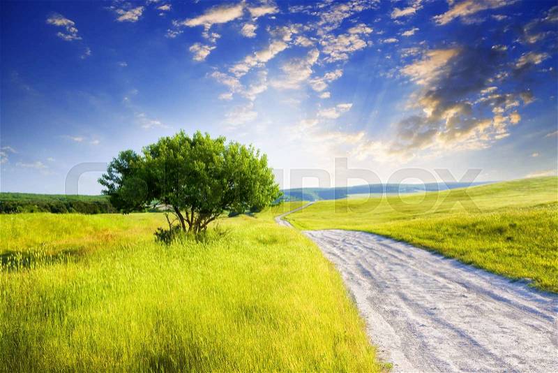 Rural road on the mountain hill. Beautiful natural landscape, stock photo