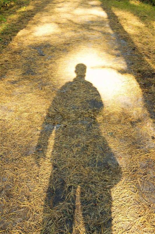 Shadow of Young Man standing alone in forest outdoor with sunset nature on background, stock photo