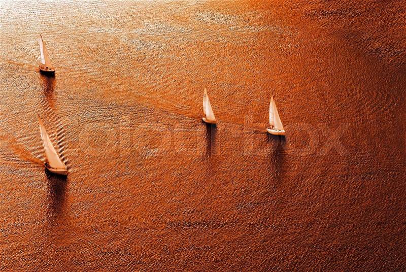 Sailing regatta in warm tones. The top view, stock photo