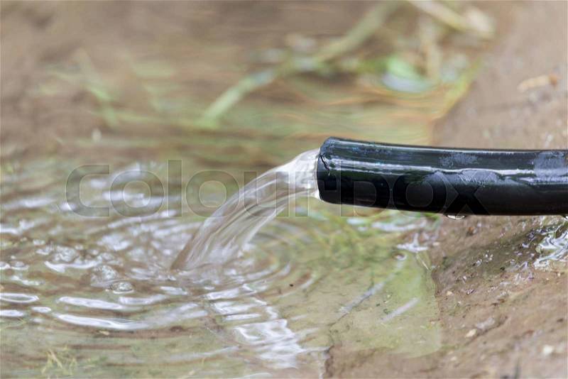 Water flows from the hose into the ground, stock photo