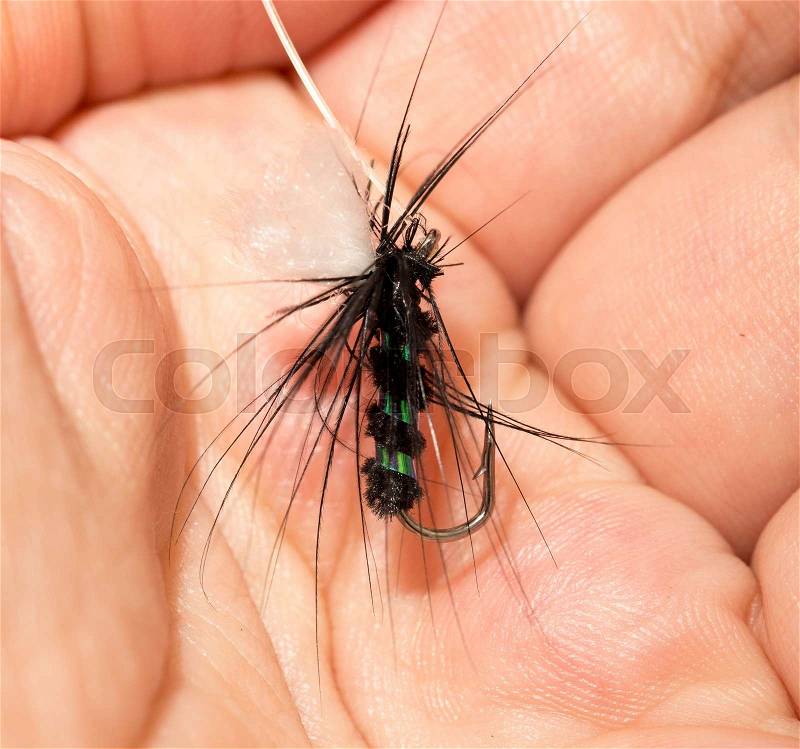 Fly to catch fish in his hand. macro, stock photo