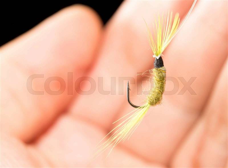 Fly to catch fish in a hand on a black background, stock photo