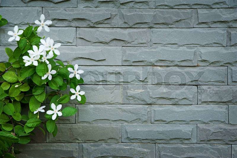 Brick wall with white flowers, stock photo