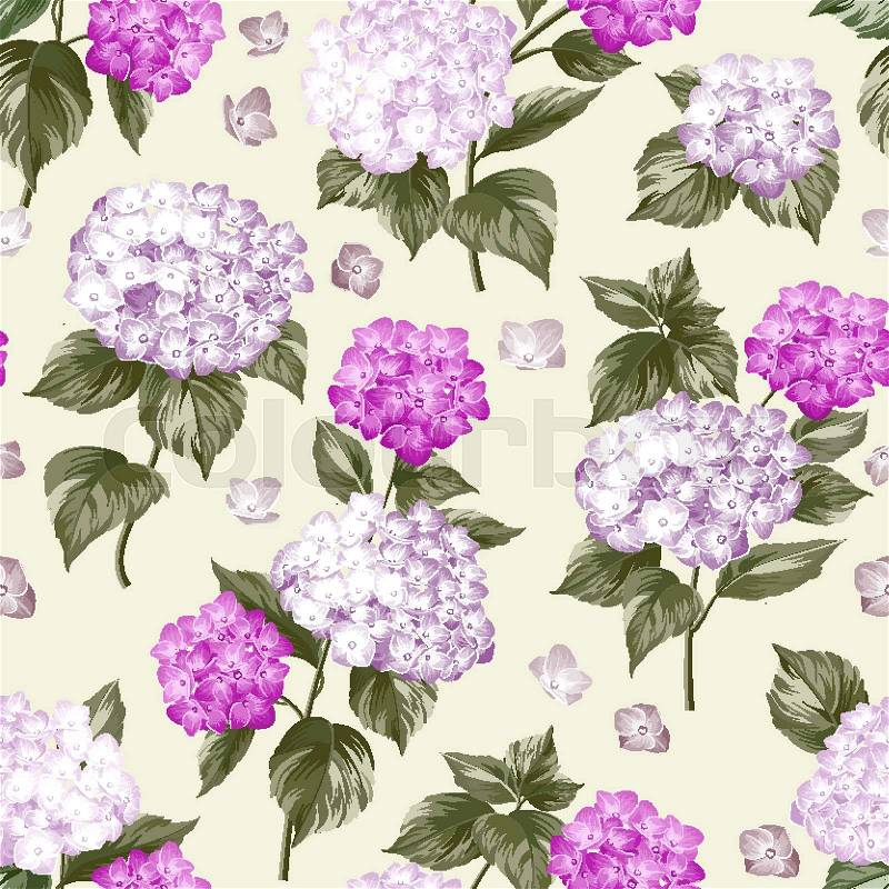 Violet flower hydrangea on gray background. Mop head hydrangea flower pattern. Beautiful summer flowers on the gray. Vector illustration, vector