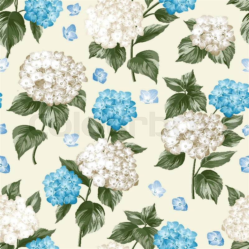 Blue flower hydrangea on seamless background. Mop head hydrangea flower pattern. Beautiful summer flowers on the white. Vector illustration, vector
