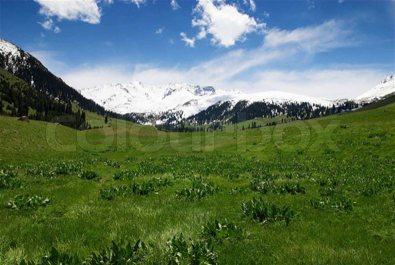 Spring in mountain valley, stock photo