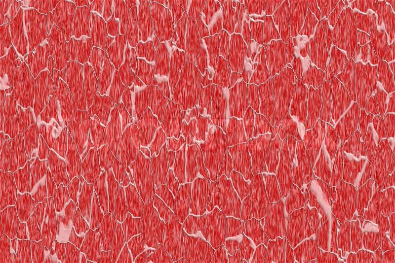 The texture of the muscle fiber, stock photo