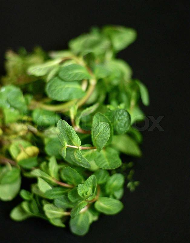 Fresh mint herb on black background, stock photo