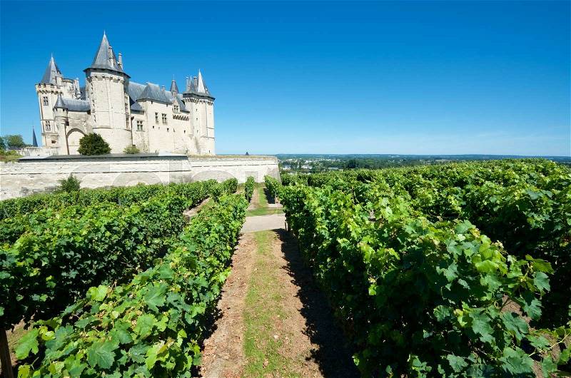 Saumur castle and Loire River, Loire Valley, France. Saumur Castle was built in the tenth century and rebuilt in the late twelfth century. It is now owned by the city and is one of the most famous castles of the Loire Valley, stock photo