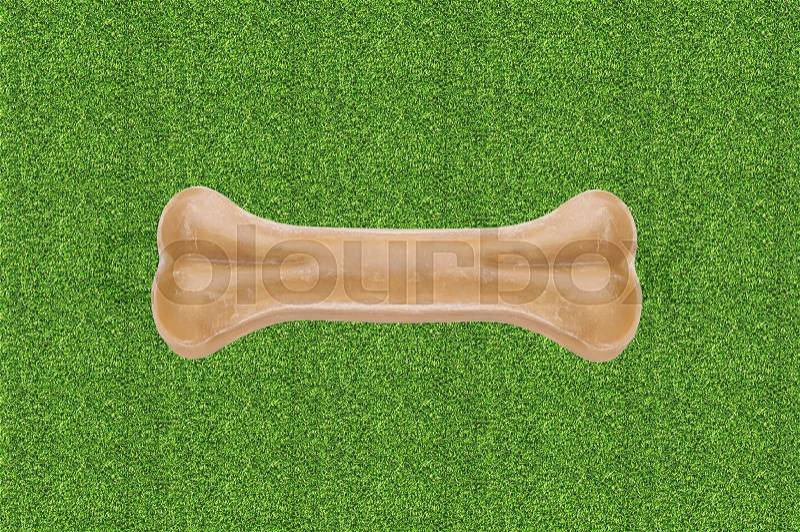 Dog Chew Bone on green grass, stock photo
