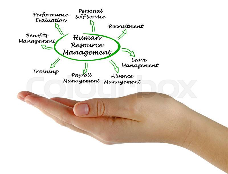 Diagram of Human Resource Management, stock photo