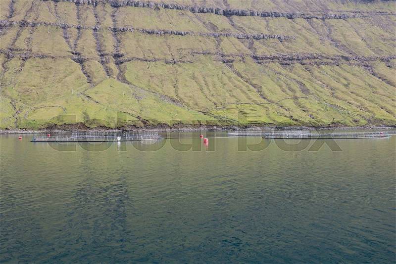 Closeup of a salmon farm in water on the Faroe Islands, stock photo