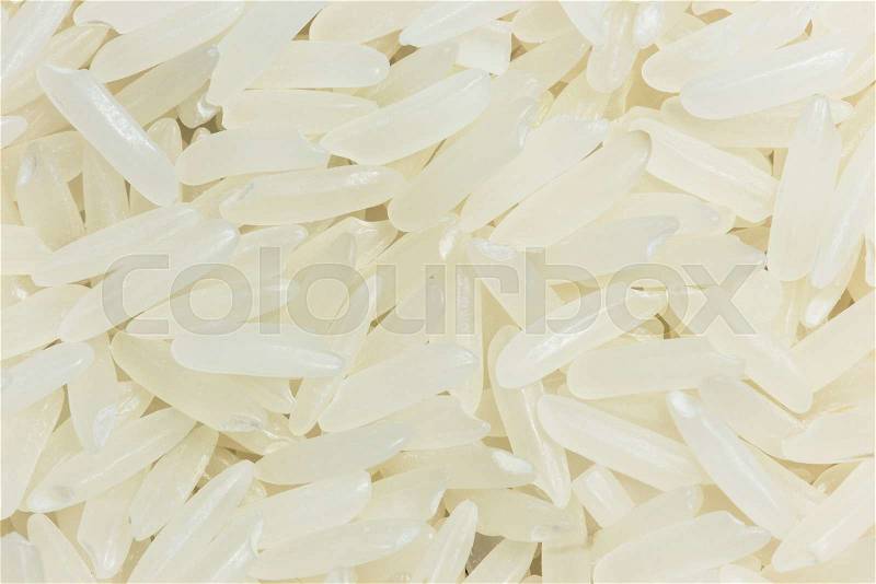 Rice grain (jasmine rice) for background , stock photo