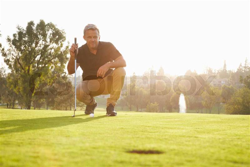 Male Golfer Lining Up Putt On Green, stock photo