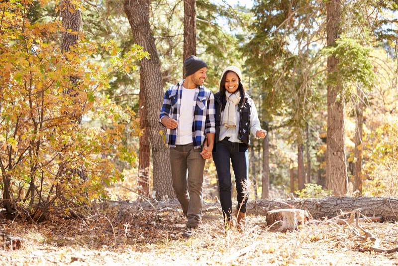 African American Couple Walking Through Fall Woodland, stock photo