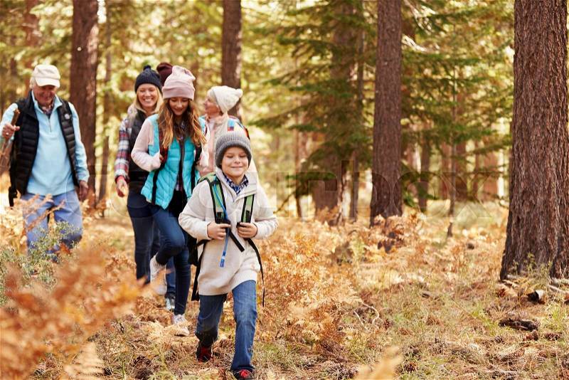 Multi generation family hiking in a forest, California, USA, stock photo