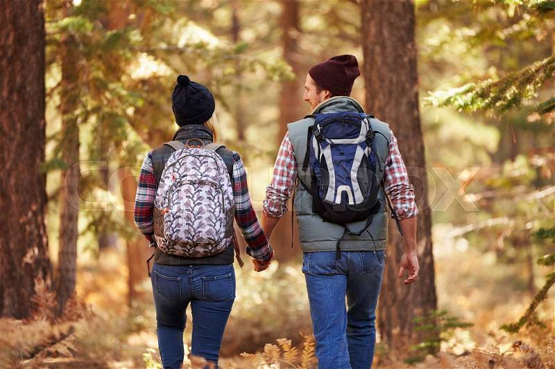Couple enjoying hike in a forest, back view, California, USA, stock photo