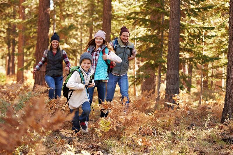 Family enjoying hike in a forest, California, USA, stock photo