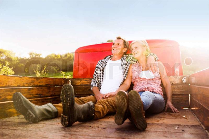 Senior couple sitting in back of vintage red pickup truck, hugging, green sunny nature, stock photo