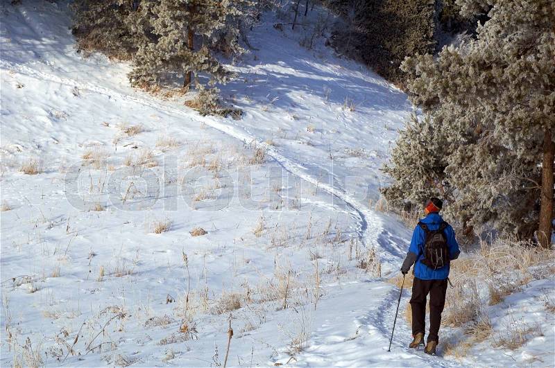 Man snowshoer climbing hill, stock photo