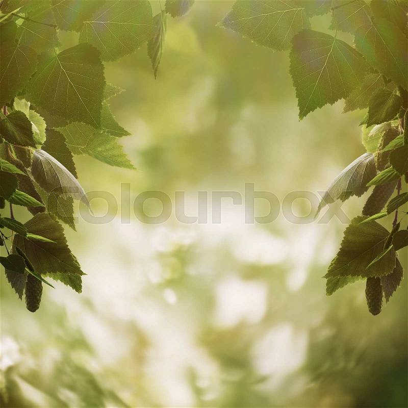 Beauty seasonal backgrounds with shallow focus and natural bokeh, stock photo