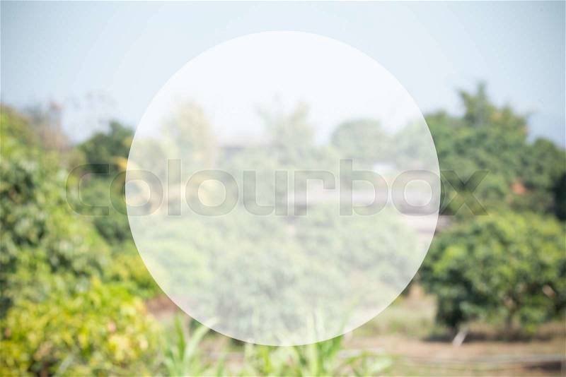 Nature background with circle of blank text box, stock photo