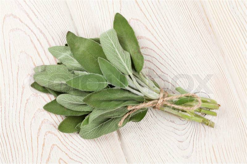 Bunch of garden sage herb on wooden table, stock photo