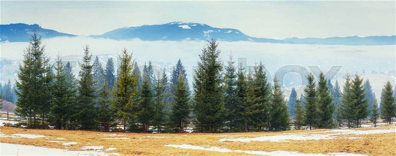 The beginning of spring in the mountains. Carpathians. Ukraine. Europe, stock photo