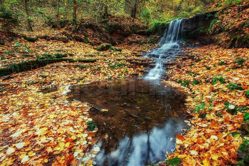 Beautiful waterfall in forest, autumn landscape, stock photo