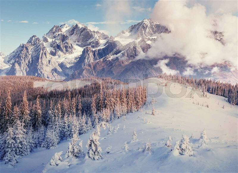 Mysterious winter landscape majestic mountains in winter. Magical winter snow covered tree. Europe, stock photo