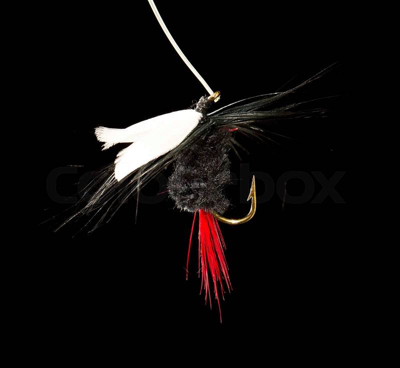 Fly to catch fish on a black background, stock photo