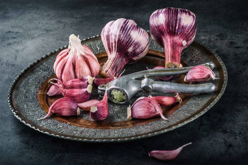 Garlic. Fresh garlic. Red garlic. Garlic press. Violet garlic.Garlic background. garlic bulbs, stock photo